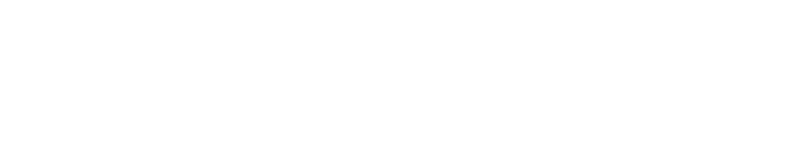 PROTON ZOOM